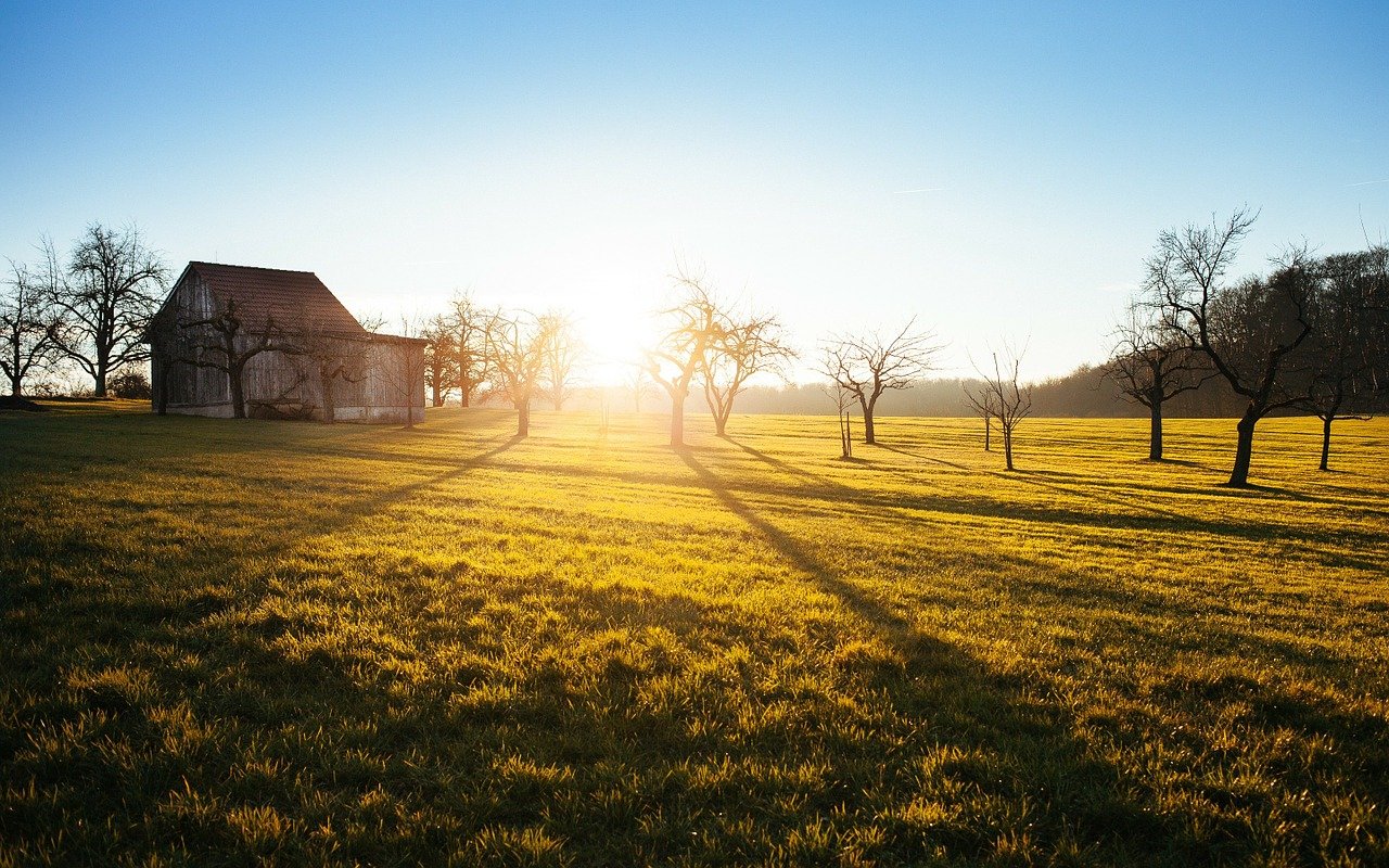 farm, shed, cabin